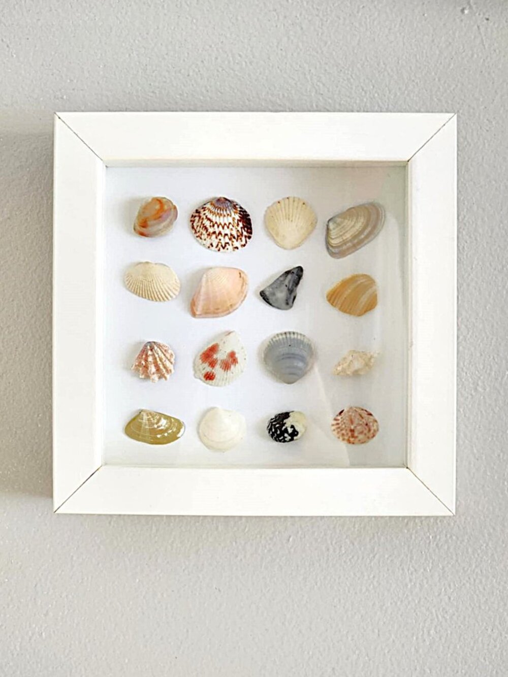 Framed seashell art